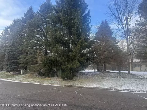 0 Hiddenview Ln, Williamston, MI 48895 photo 3