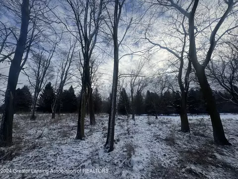 0 Hiddenview Ln, Williamston, MI 48895 photo 8