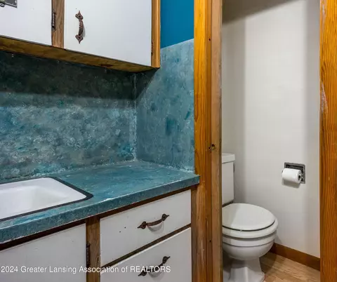 Bath - 490 S Nevins Rd, Stanton, MI 48888 photo 3 of 4