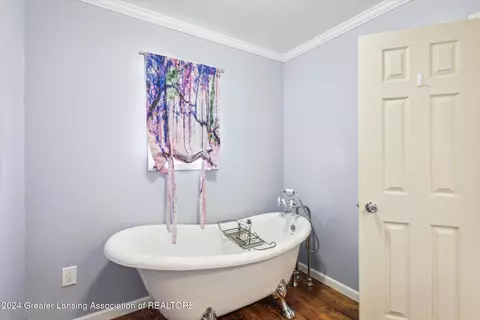 231 East Rd, Dimondale, MI 48821 photo 6