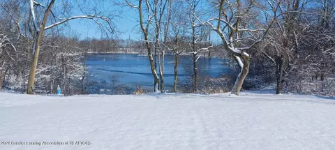 1301 Jackson Dr, Owosso, MI 48867 photo 5