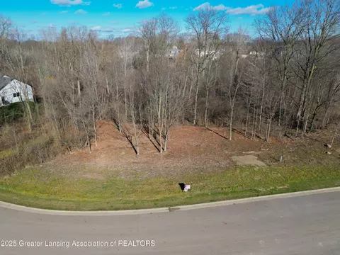 V/l Highland Court, Dimondale, MI 48821