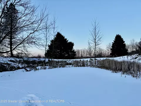 1175 S Osborne Rd, Dansville, MI 48819