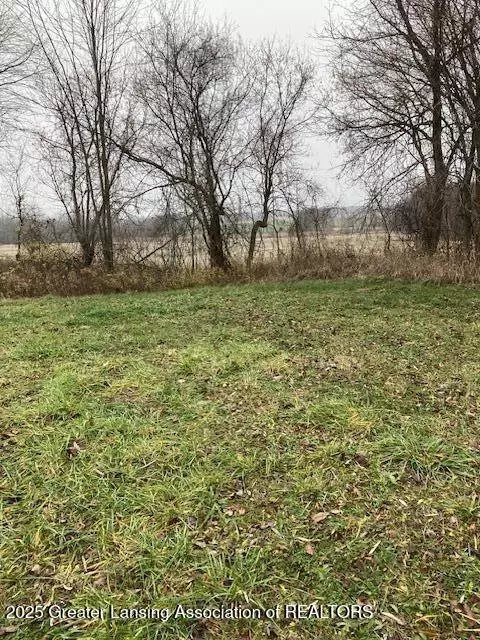 3298 S A S Balcom, Ovid, MI 48866 photo 2