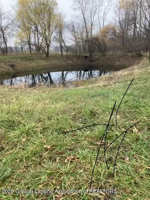 3298 S A S Balcom, Ovid, MI 48866