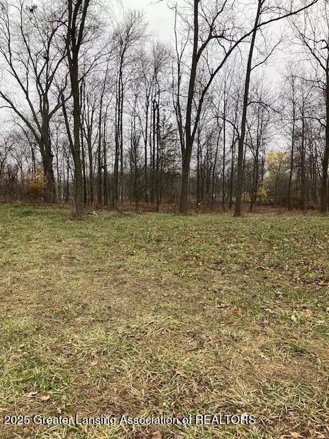 3298 S A S Balcom, Ovid, MI 48866 photo 3