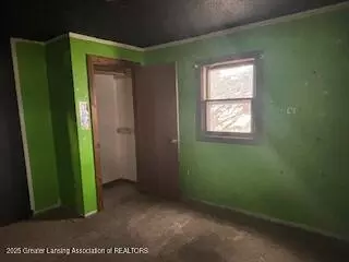 Other - 528 S Pine River St, Ithaca, MI 48847 photo 4 of 11