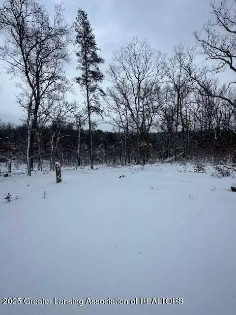 Undisclosed, Grayling, MI 49739 photo 2
