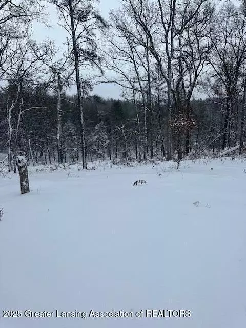 Undisclosed, Grayling, MI 49739
