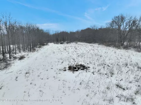 Other - 1615 Haslett Rd, Williamston, MI 48895 photo 31 of 32