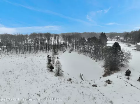 Other - 1615 Haslett Rd, Williamston, MI 48895 photo 30 of 32