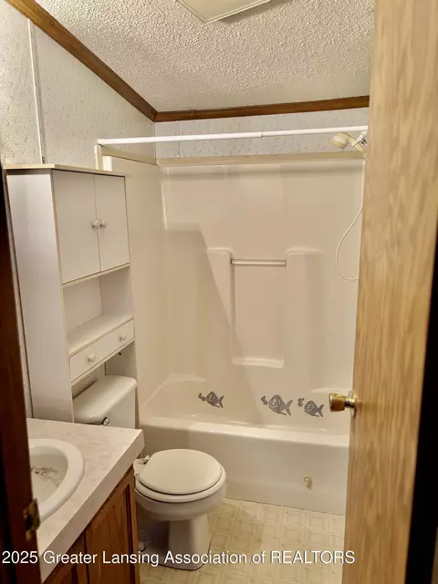 Bath - 110 N Morse St, Perrinton, MI 48871 photo 4 of 4
