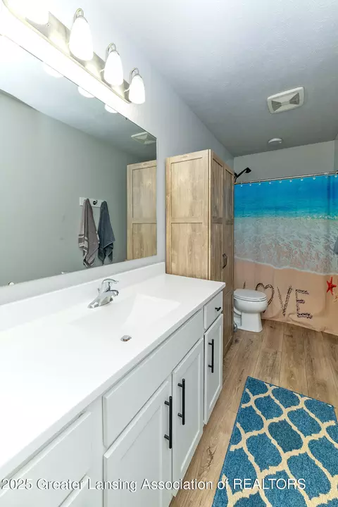 Bath - 233 Noleigh Ln, Dewitt, MI 48820 photo 3 of 3