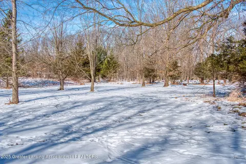 9508 Beardslee Rd, Perry, MI 48872 photo 44