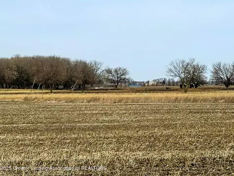 9165 E Kinley Rd, Ovid, MI 48866 photo 3