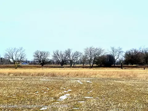 9195 E Kinley Rd, Ovid, MI 48866 photo 3