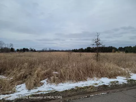 Undisclosed, Olivet, MI 49076 photo 50