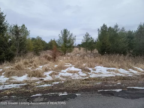 Undisclosed, Olivet, MI 49076 photo 51