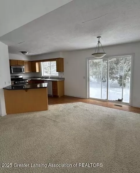 Other - 12813 Houghton Dr, Dewitt, MI 48820 photo 1 of 4