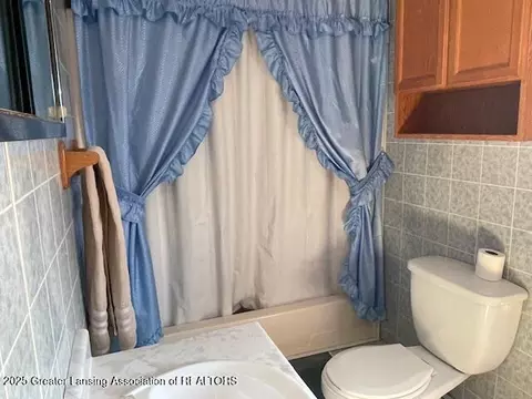 Bath - 312 W Sectionline Rd, Ashley, MI 48806 photo 1 of 1