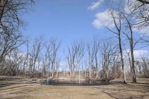 5935 E Parks Rd, Saint Johns, MI 48879 photo 25