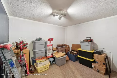 615 W Maple Ave, Bancroft, MI 48414 photo 33
