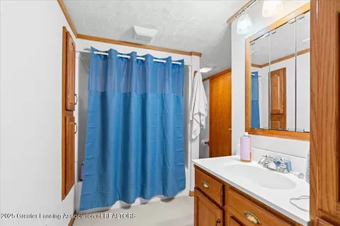 Bath - 706 Fieldview Dr, Grand Ledge, MI 48837 photo 4 of 4