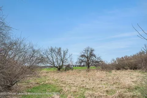 2775 E Howe Rd, Dewitt, MI 48820 photo 16