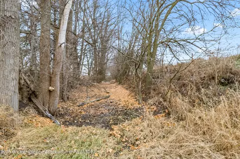 6865 S State Rd, Ashley, MI 48806 photo 14