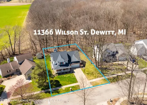 View/Area - 11366 Wilson St, Dewitt, MI 48820 photo 3 of 3