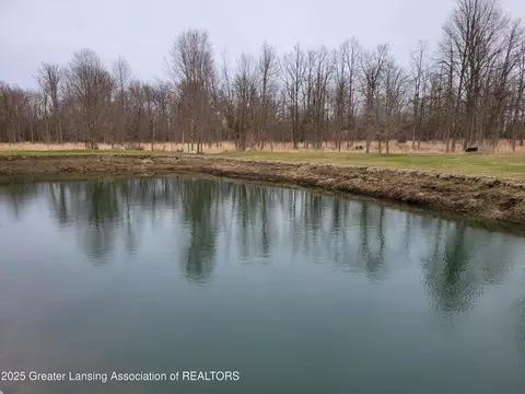 4600 Findlay Rd, Saint Johns, MI 48879 photo 29