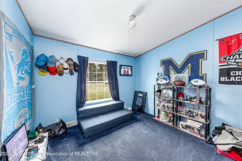 Other - 388 E First St, Ovid, MI 48866 photo 5 of 9