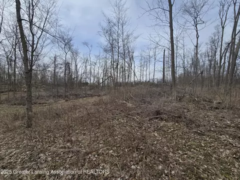 1 W Mccrumb Rd, Eagle, MI 48822 photo 2
