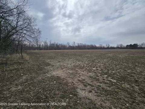 1 W Mccrumb Rd, Eagle, MI 48822 photo 5