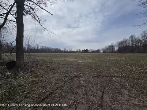 1 W Mccrumb Rd, Eagle, MI 48822 photo 3
