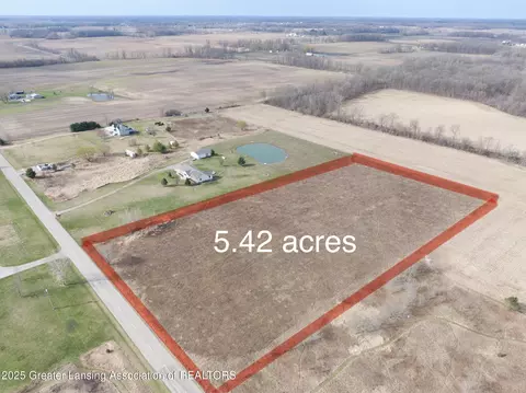 V/l W Lovejoy Road, Perry, MI 48872