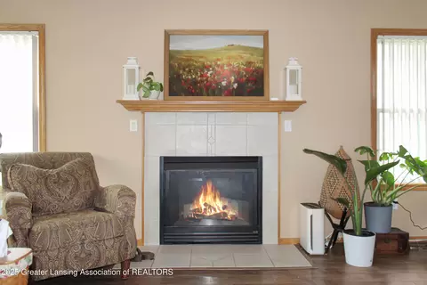 Other - 10048 Roblyn Cir, Dimondale, MI 48821 photo 2 of 9