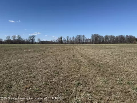 0 Moyer Rd, Williamston, MI 48895 photo 3