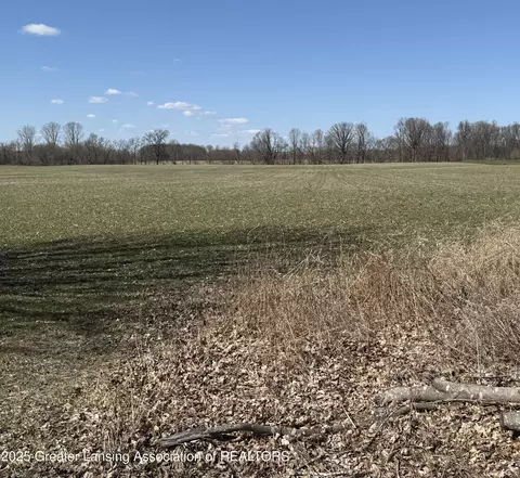 0 Moyer Rd, Williamston, MI 48895