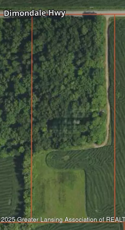 0 Dimondale Rd, Dimondale, MI 48821