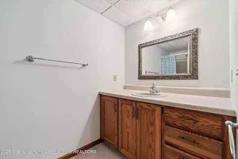 Bath - 333 Tanbark Dr, Dimondale, MI 48821 photo 6 of 7