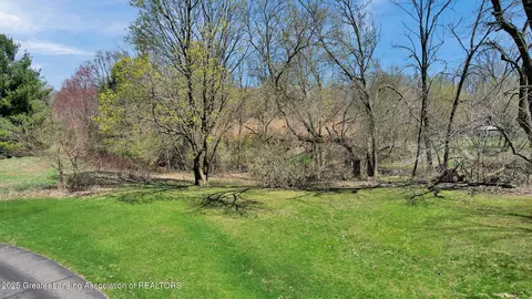 0 E Jefferson St, Dimondale, MI 48821 photo 14