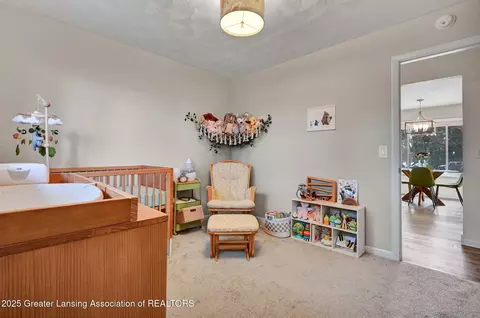 1101 Mora Cir, Dewitt, MI 48820 photo 18
