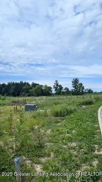 Undisclosed, Lansing, MI 48906