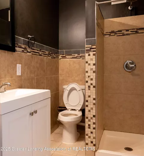 127 N Saint Johns St, Ithaca, MI 48847 photo 15