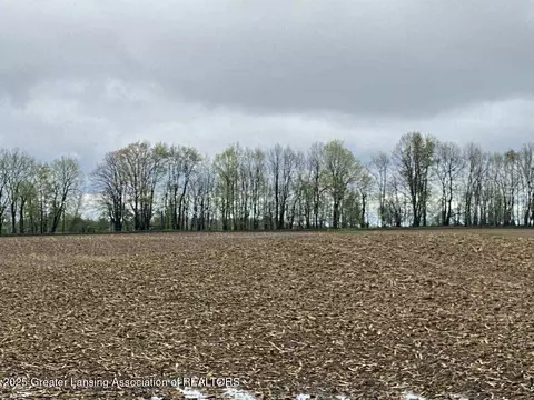 00 W Cutler Rd, Dewitt, MI 48820 photo 4