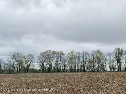 00 W Cutler Rd, Dewitt, MI 48820 photo 3