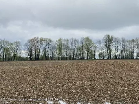 00 W Cutler Rd, Dewitt, MI 48820