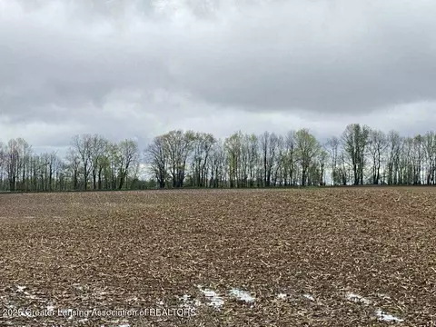 00 W Cutler Rd, Dewitt, MI 48820 photo 2