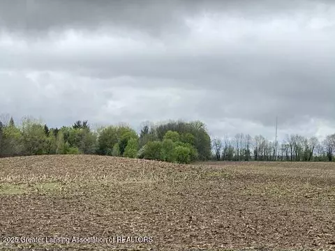 00 W Cutler Rd, Dewitt, MI 48820 photo 6